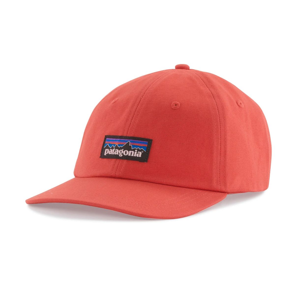 Patagonia P-6 Label Trad Cap