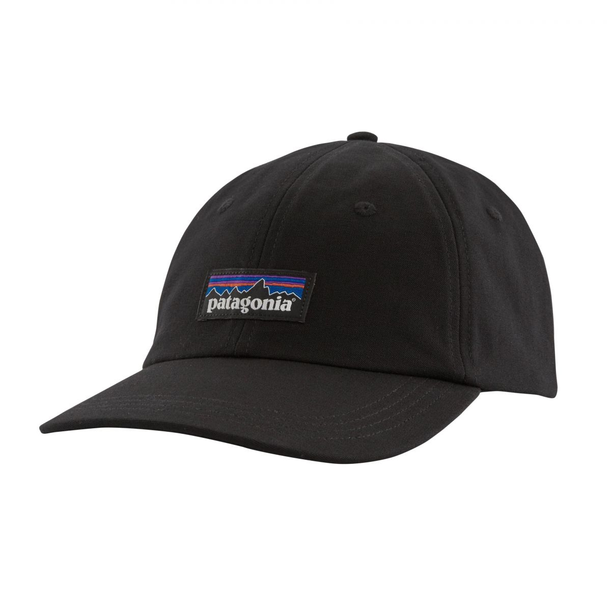 Patagonia P-6 Label Trad Cap