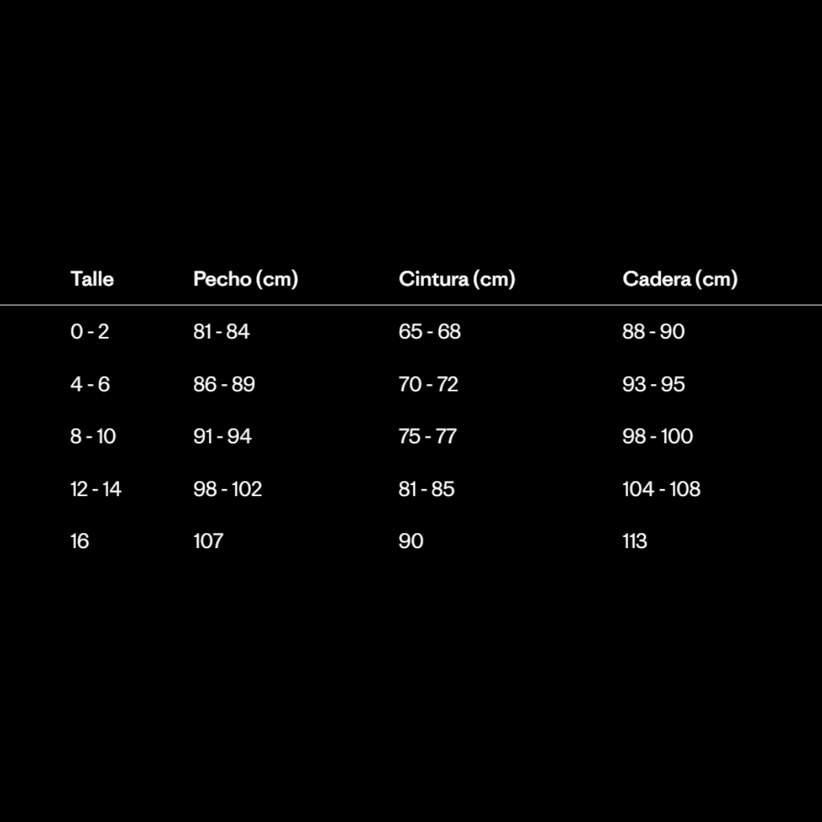 Patagonia Nano Puff FRT Hoody Mujer