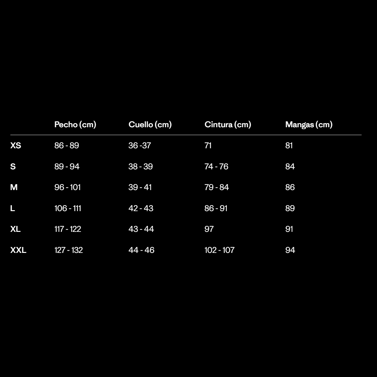 Patagonia R1 Pullover Hoody