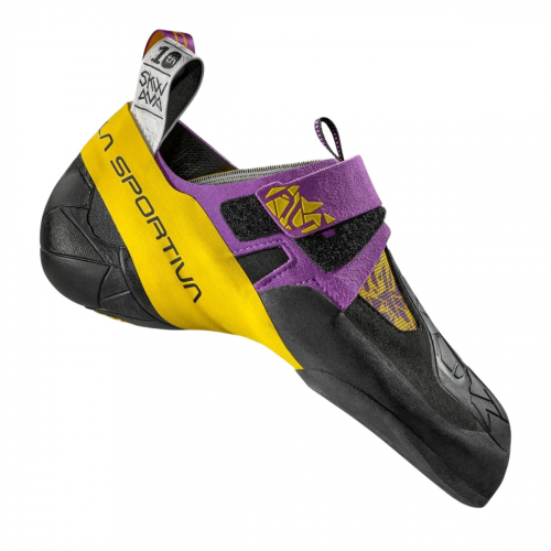 Purple / Yellow